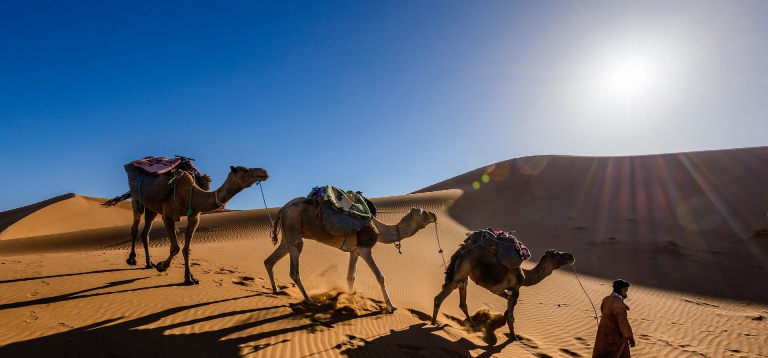 Aventura en familia por el desierto de Marrakech